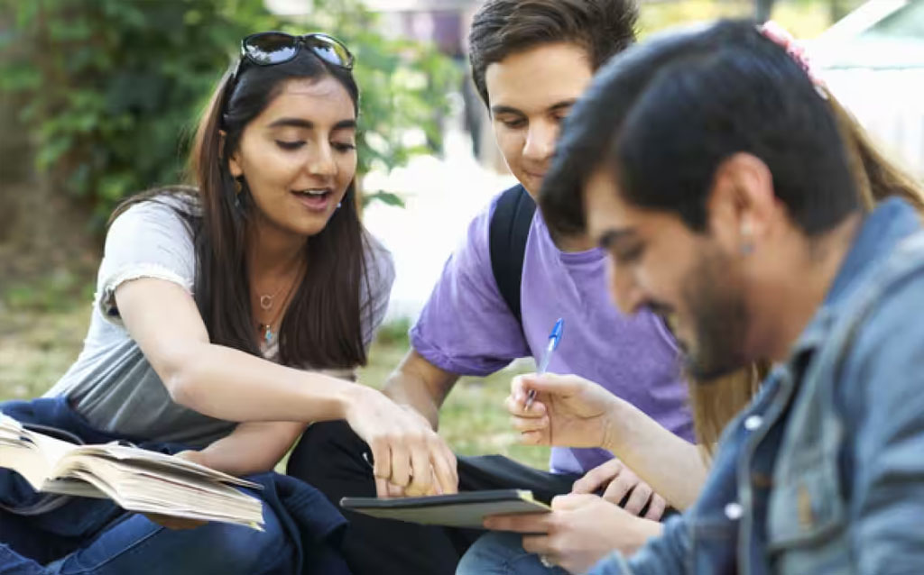 germany targets indian students